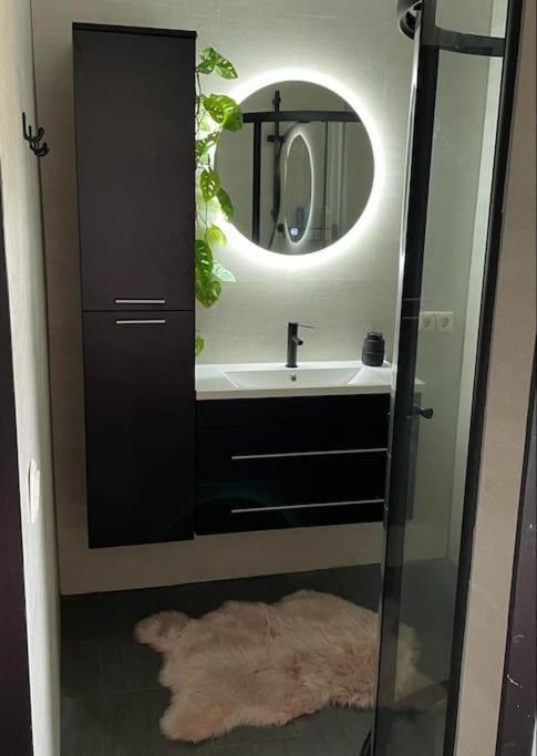 Luxe Vakantiehuis Met Prive Wellness Zuidwolde  エクステリア 写真
