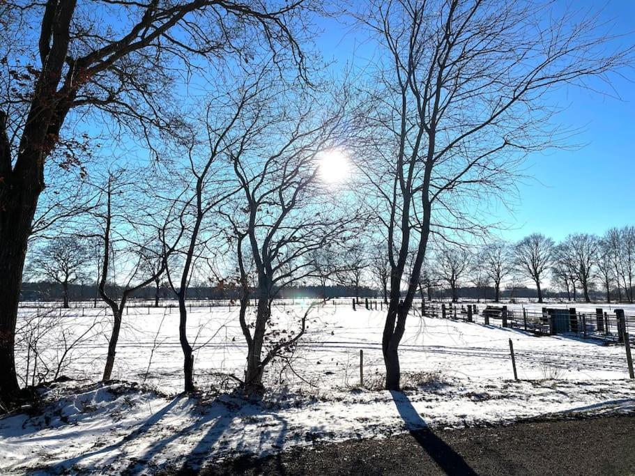 Luxe Vakantiehuis Met Prive Wellness Zuidwolde  エクステリア 写真